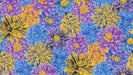 PRE - Order Kaffe Fassett August 2026 Collective - Bursting Stripes PWPJ137.COOL - Half Yard - Modern Fabric Shoppe