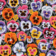 PRE-Order Kaffe Fassett February 2027 Collective- Big Pansies PWPJ143.CONTRAST- Half Yard - Modern Fabric Shoppe