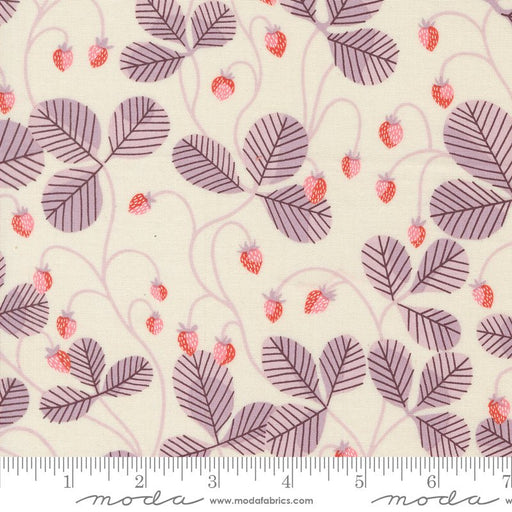 PRE - ORDER Love Letter by Lizzy House - Eggshell 37124 11 - Half Yard - January 2025 - Modern Fabric Shoppe