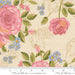 PRE - ORDER My Secret Garden by Stacy Lest Hsu - Cloud 20980 11 - Half Yard - July 2026 - Modern Fabric Shoppe
