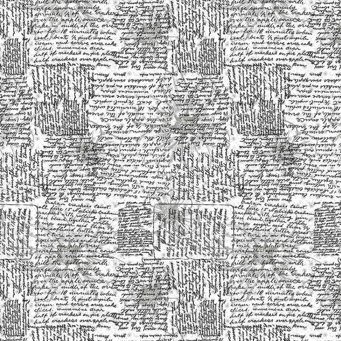 PRE - Order Natalie Barnes - Winding Road - Directions 55011 - 7 Black/White - Half Yard - March 2026 - Modern Fabric Shoppe