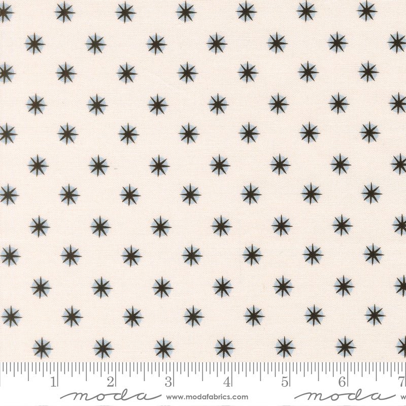 PRE-ORDER Only Treats by Lizzy House- Ghost 37158 11 - Half Yard- June 2027 - Modern Fabric Shoppe
