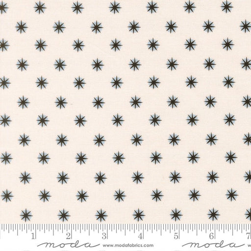 PRE-ORDER Only Treats by Lizzy House- Ghost 37158 11 - Half Yard- June 2027 - Modern Fabric Shoppe