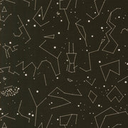 PRE-ORDER Only Treats by Lizzy House- Midnight 37156 21 - Half Yard- June 2027 - Modern Fabric Shoppe