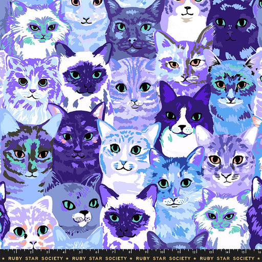 PRE-ORDER Oops All Cats by Sarah Watts- RS 2146 13 - Blue- Half Yard- May 2027 - Modern Fabric Shoppe