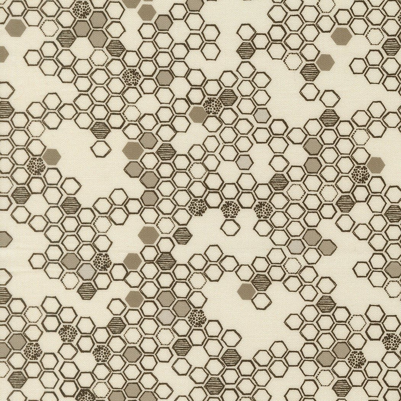 PRE - Order Pollinators by Robin Pickens - Cloud 48815 11 - Half Yard - December 2026 - Modern Fabric Shoppe