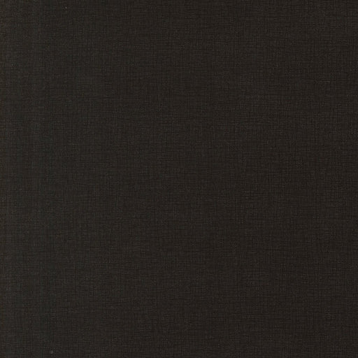PRE - Order Pollinators by Robin Pickens - Thatched Onyx 48626 224 - Half Yard - December 2026 - Modern Fabric Shoppe