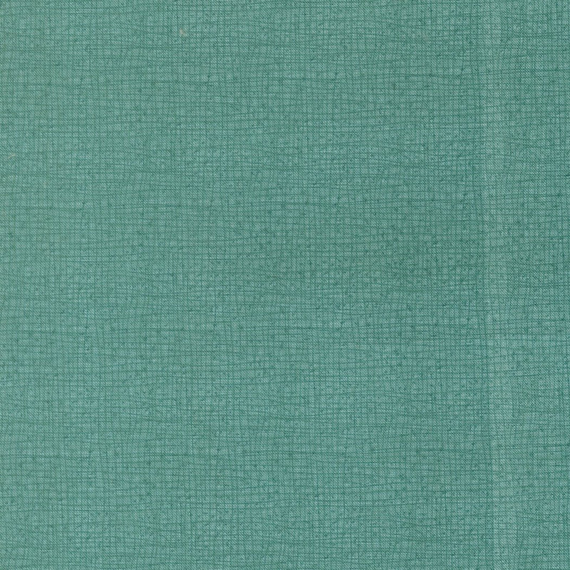 PRE - Order Pollinators by Robin Pickens - Thatched Stream 48626 221 - Half Yard - December 2026 - Modern Fabric Shoppe