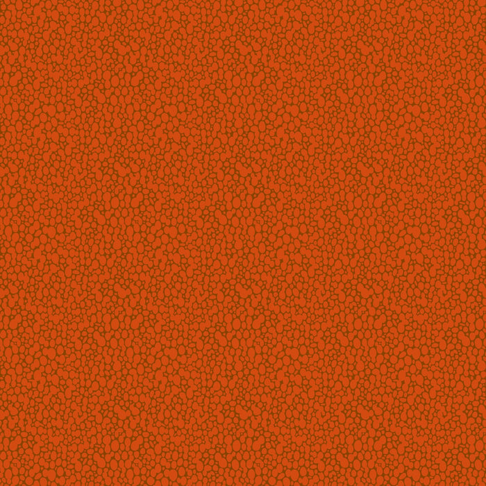 PRE - Order Pop Sugar by Heather Bailey - Skipping Stones 92059 - 36 Persimmon - Half Yard - April 2025 - Modern Fabric Shoppe