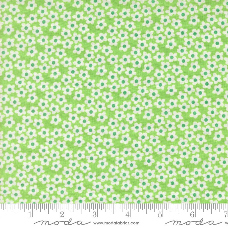 PRE - Order Popcorn by Elizabeth Hartman - Mint 51282 16 - Half Yard - November 2026 - Modern Fabric Shoppe