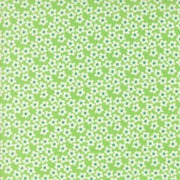 PRE - Order Popcorn by Elizabeth Hartman - Mint 51282 16 - Half Yard - November 2026 - Modern Fabric Shoppe