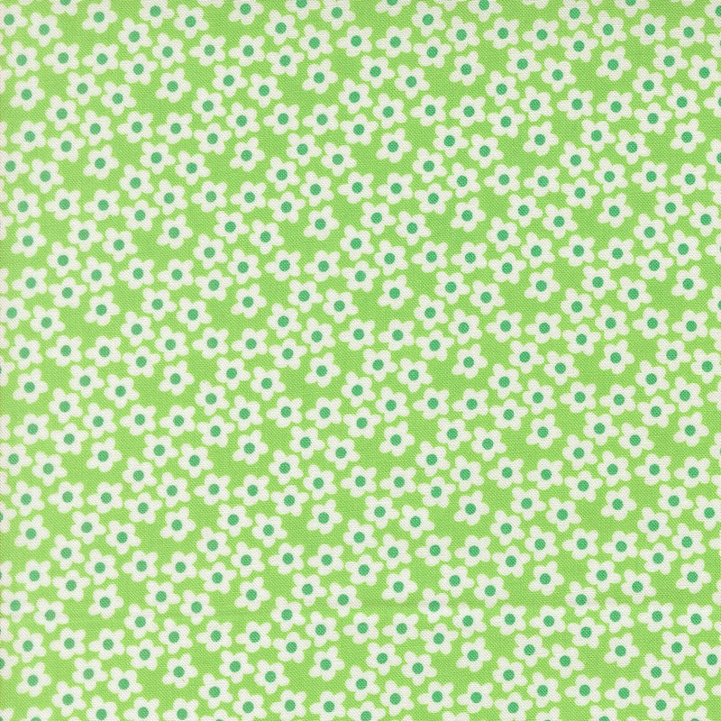 PRE - Order Popcorn by Elizabeth Hartman - Mint 51282 16 - Half Yard - November 2026 - Modern Fabric Shoppe