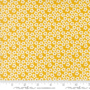 PRE - Order Popcorn by Elizabeth Hartman - Orange 51282 25 - Half Yard - November 2026 - Modern Fabric Shoppe