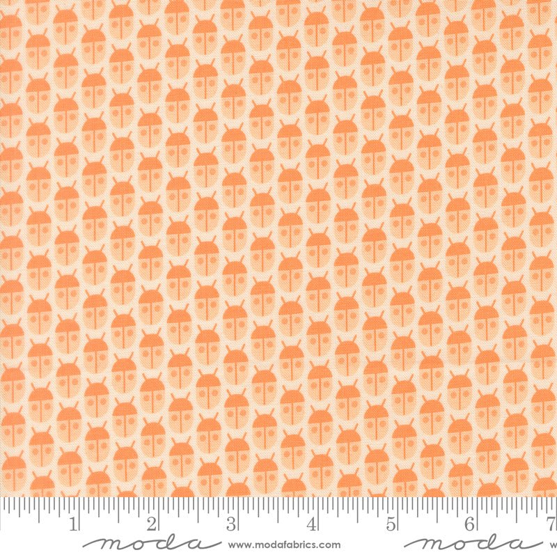 PRE - Order Popcorn by Elizabeth Hartman - Spice 51280 20 - Half Yard - November 2026 - Modern Fabric Shoppe