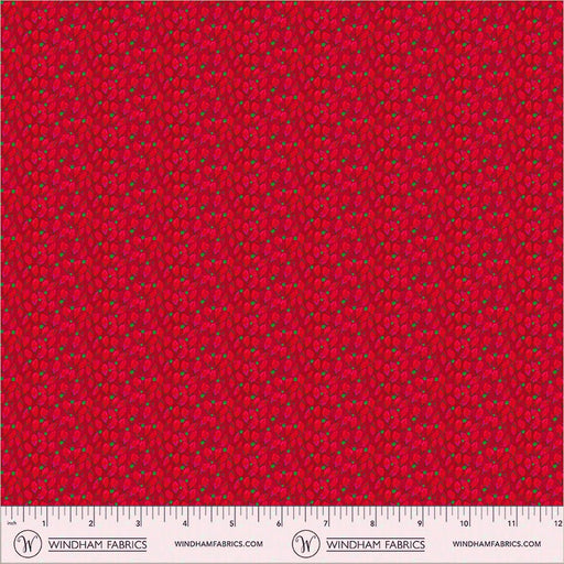 PRE-Order Sally Kelly- Celestial Skies- Taurus 55845D-4-Red- Half Yard- May 2027 - Modern Fabric Shoppe