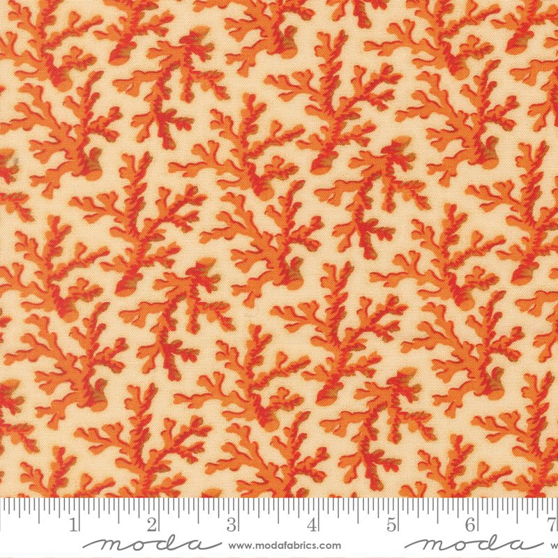 PRE - ORDER Saltwater by Cathy Holden - Natural 39575 11 - Half Yard - March 2026 - Modern Fabric Shoppe