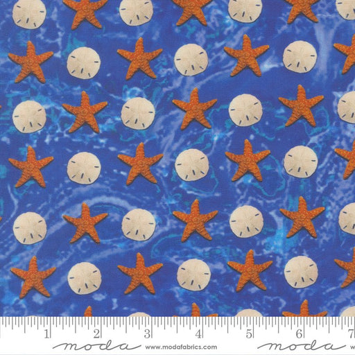 PRE - ORDER Saltwater by Cathy Holden - Ocean 39576 13 - Half Yard - March 2026 - Modern Fabric Shoppe