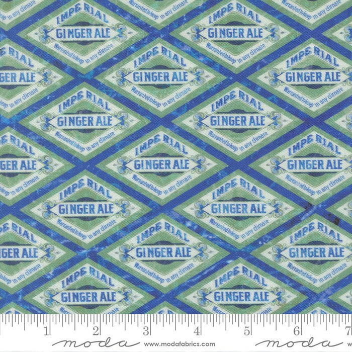 PRE - ORDER Saltwater by Cathy Holden - Ocean 39578 11 - Half Yard - March 2026 - Modern Fabric Shoppe