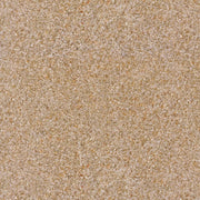 PRE - ORDER Saltwater by Cathy Holden - Sand 39579 11 - Half Yard - March 2026 - Modern Fabric Shoppe