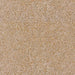 PRE - ORDER Saltwater by Cathy Holden - Sand 39579 11 - Half Yard - March 2026 - Modern Fabric Shoppe