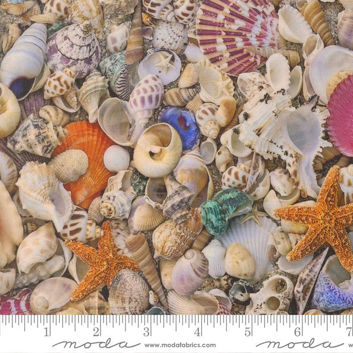 PRE - ORDER Saltwater by Cathy Holden - Shell 39570 11 - Half Yard - March 2026 - Modern Fabric Shoppe