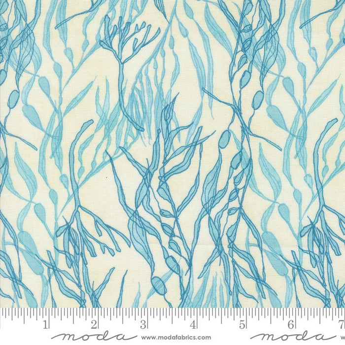 PRE - ORDER Serena Shores by Robin Pickens - Cloud 48773 11 - Half Yard - November 2024 - Modern Fabric Shoppe