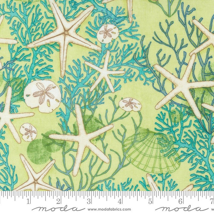 PRE - ORDER Serena Shores by Robin Pickens - Kelp 48771 25 - Half Yard - November 2024 - Modern Fabric Shoppe