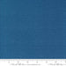 PRE - ORDER Serena Shores by Robin Pickens - Thatched Coastal 48626 209 - Half Yard - November 2024 - Modern Fabric Shoppe