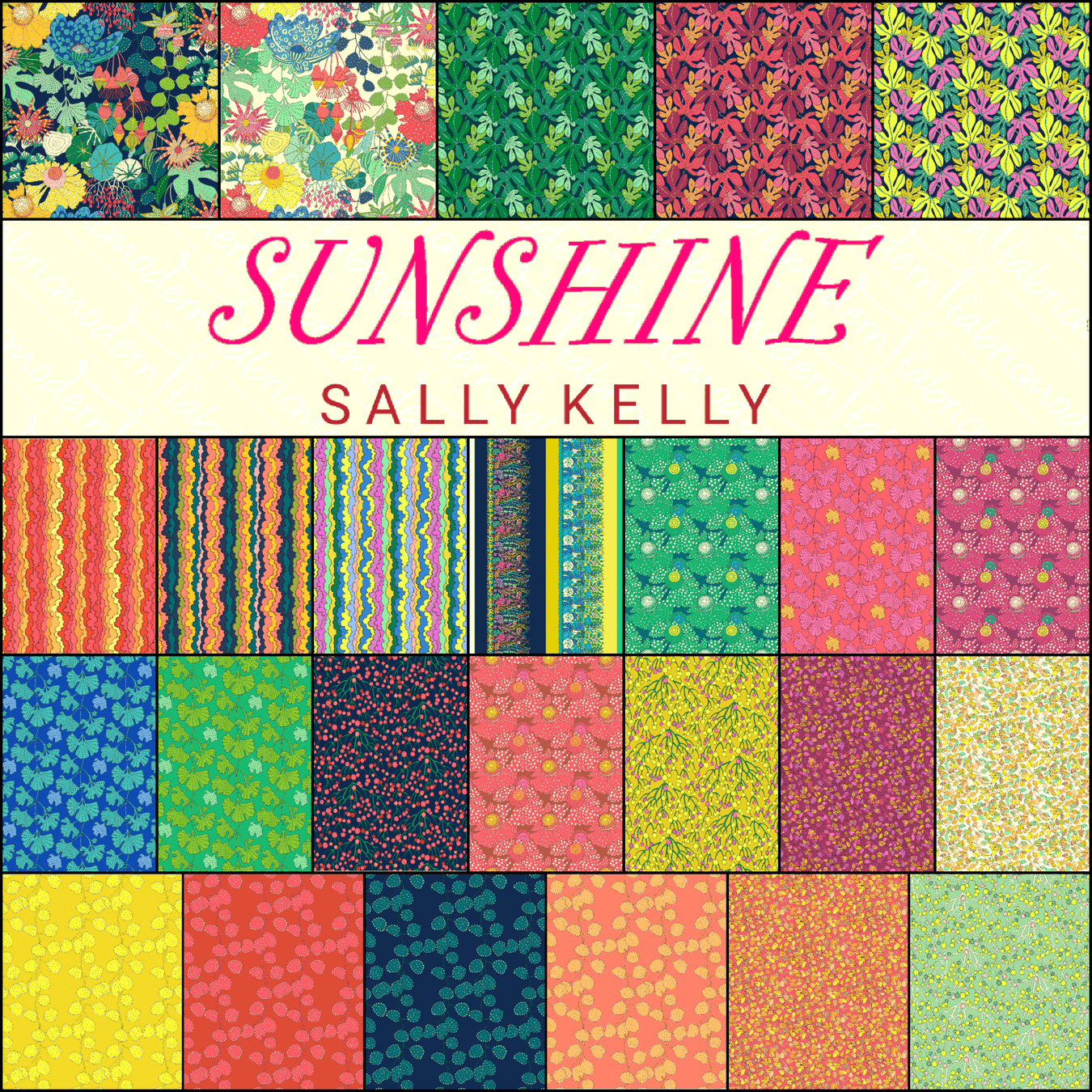 Sally Kelly- Sunshine