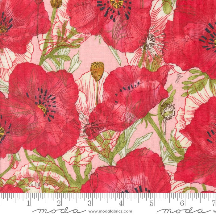 PRE - Order Superbloom by Robin Pickens - Superbloom Carnation 48781 19 - Half Yard - April 2025 - Modern Fabric Shoppe