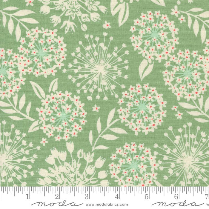 PRE-ORDER Tango by Kate Spain- Tango Simpatico Sage 27332 20 - Half Yard- September 2024 - Modern Fabric Shoppe