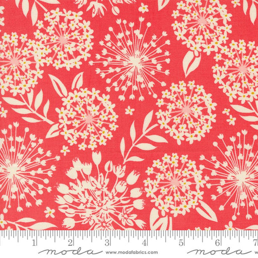 PRE-ORDER Tango by Kate Spain- Tango Simpatico Tangerine 27332 12 - Half Yard- September 2024 - Modern Fabric Shoppe