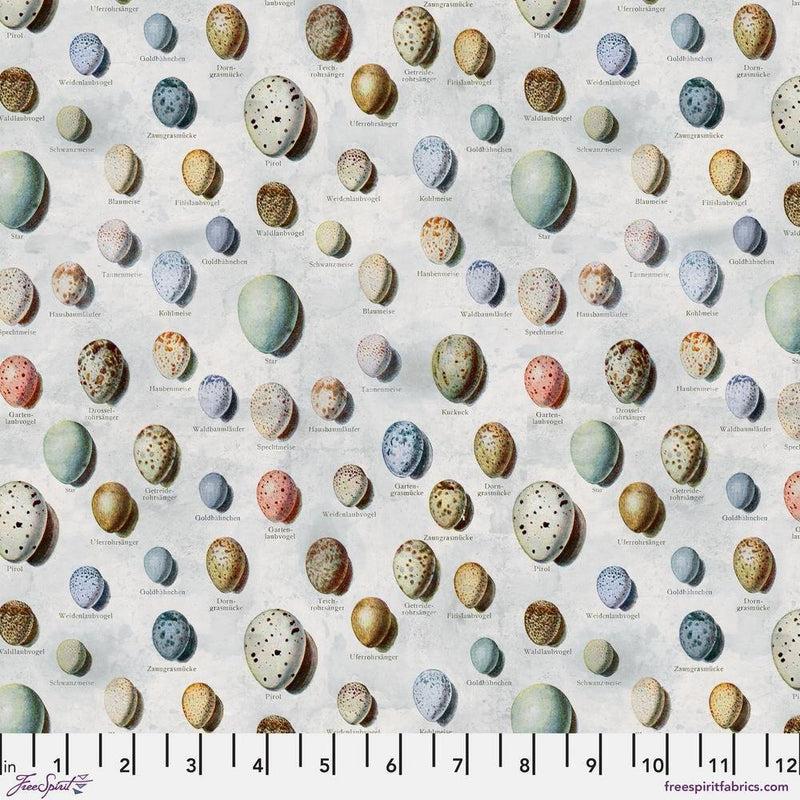 PRE - Order Tim Holtz - Eclectic Elements Palette - Blue Eggs PWTH285.BLUE - Half Yard - May 2025 - Modern Fabric Shoppe