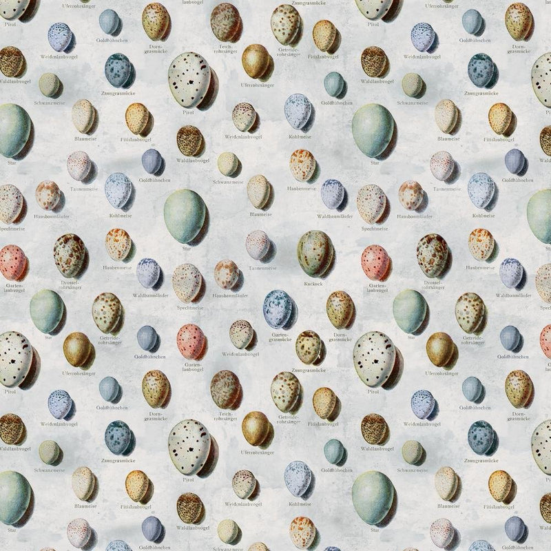 PRE - Order Tim Holtz - Eclectic Elements Palette - Blue Eggs PWTH285.BLUE - Half Yard - May 2025 - Modern Fabric Shoppe