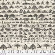 PRE - Order Tim Holtz - Eclectic Elements Palette - Charcoal Moths PWTH315.CHARCOAL - Half Yard - August 2025 - Modern Fabric Shoppe