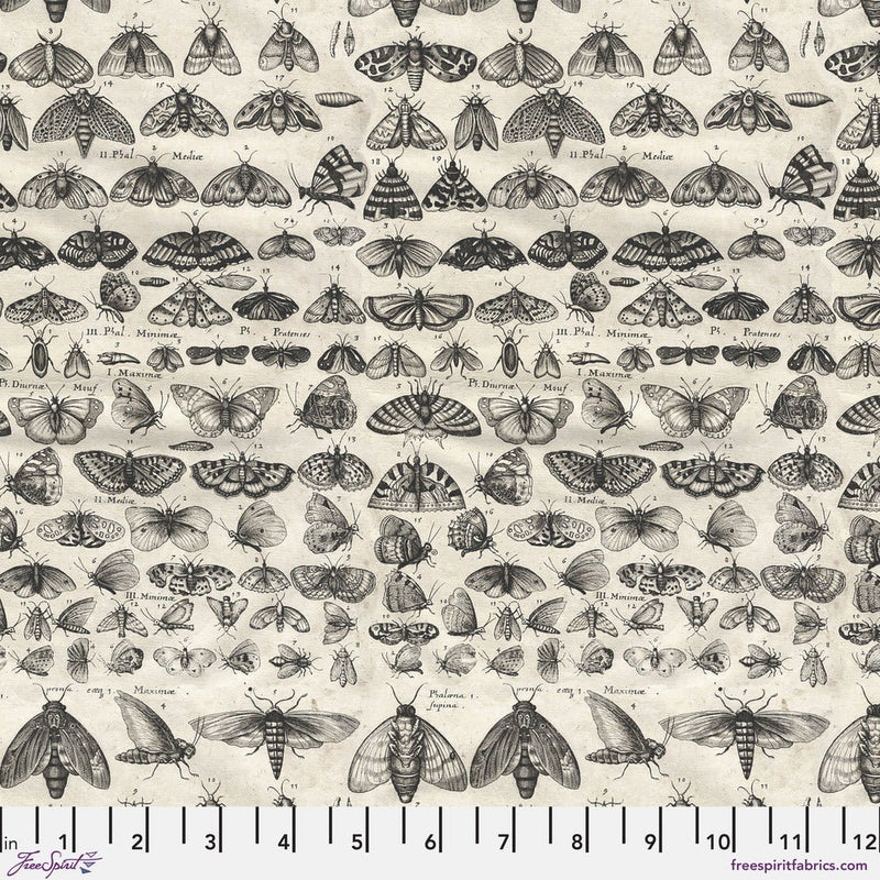 PRE - Order Tim Holtz - Eclectic Elements Palette - Charcoal Moths PWTH315.CHARCOAL - Half Yard - August 2025 - Modern Fabric Shoppe