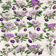 PRE - Order Tim Holtz - Eclectic Elements Palette - Purple Botanical PWTH306.PURPLE - Half Yard - July 2025 - Modern Fabric Shoppe