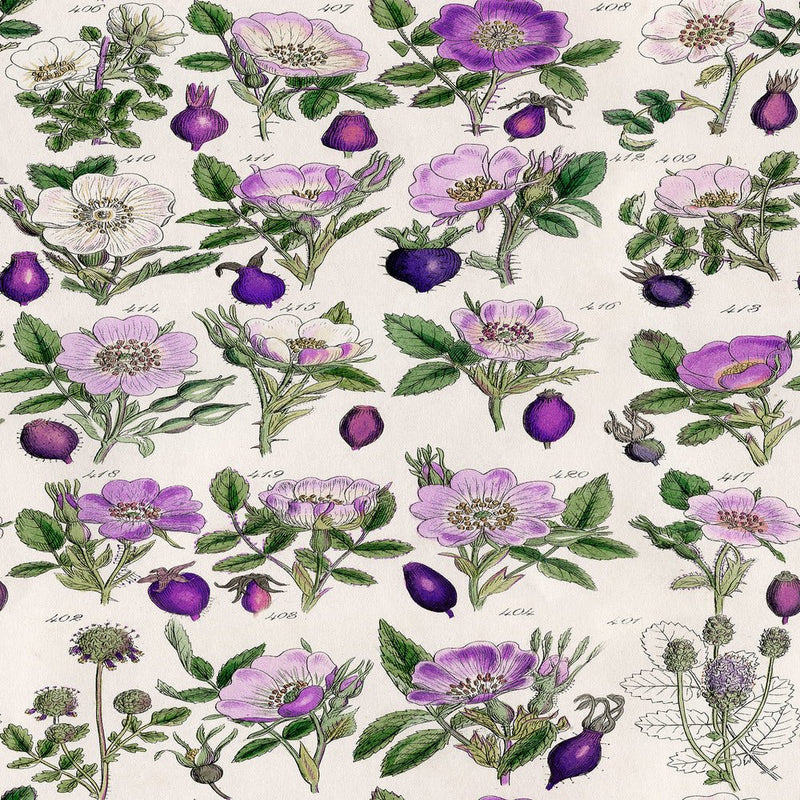 PRE - Order Tim Holtz - Eclectic Elements Palette - Purple Botanical PWTH306.PURPLE - Half Yard - July 2025 - Modern Fabric Shoppe