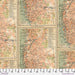 PRE - Order Tim Holtz - Electric Elements Palette - Orange Map PWTH233.ORANGE - Half Yard - Modern Fabric Shoppe