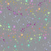 PRE - Order Tula Pink Graywork True Color - Fairy Dust PWTP133.SHADOW - Half Yard - October 2025 - Modern Fabric Shoppe