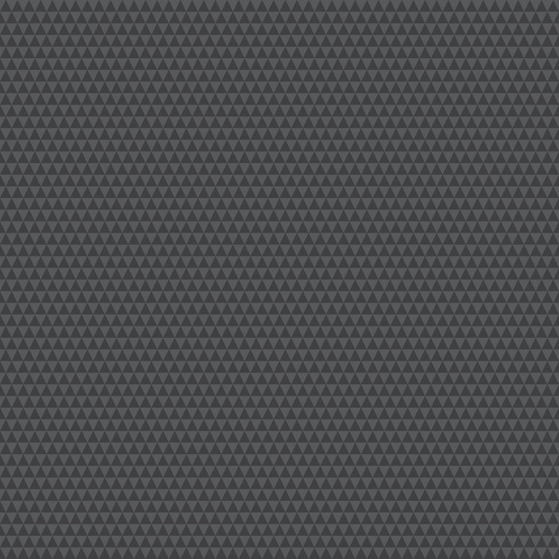 PRE - Order Tula Pink Graywork True Color - Kinda Shady PWTP263.CARBON - Half Yard - October 2025 - Modern Fabric Shoppe