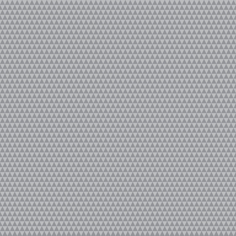 PRE - Order Tula Pink Graywork True Color - Kinda Shady PWTP263.FOG - Half Yard - October 2025 - Modern Fabric Shoppe