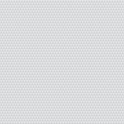 PRE - Order Tula Pink Graywork True Color - Kinda Shady PWTP263.WHISPER - Half Yard - October 2025 - Modern Fabric Shoppe