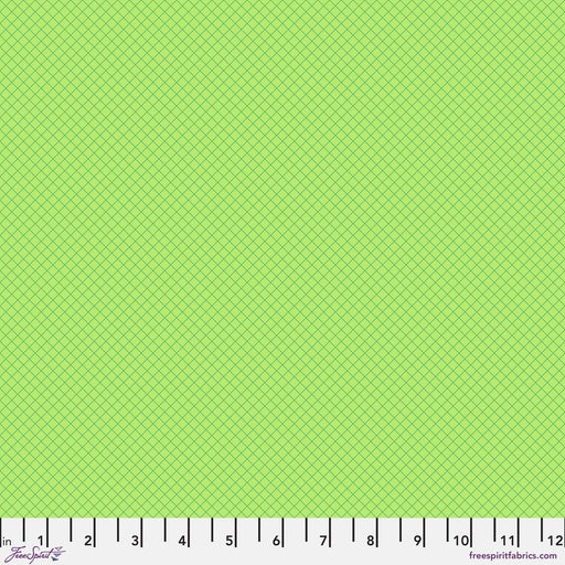 PRE - ORDER Tula Pink True Colors 2025 - On the Grid PWTP255.APPLE - Half Yard - April 2025 - Modern Fabric Shoppe