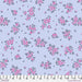 PRE - ORDER Tula Pink True Colors 2025 - What a Ditz PWTP253.FROST - Half Yard - April 2025 - Modern Fabric Shoppe