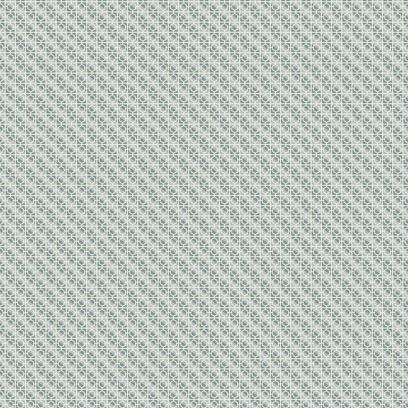 PRE - Order Wandering Eye by Kathy Doughty - Cinder Block 91071 - 90 Neutral - Half Yard - March 2025 - Modern Fabric Shoppe