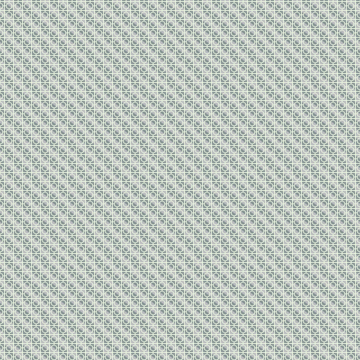 PRE - Order Wandering Eye by Kathy Doughty - Cinder Block 91071 - 90 Neutral - Half Yard - March 2025 - Modern Fabric Shoppe