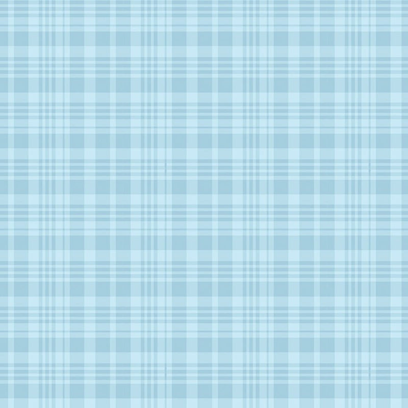 PRE - Order Winnie the Pooh for Riley Blake Designs - Blue Plaid C17005 - BLUE - Half Yard November 2025 - Modern Fabric Shoppe
