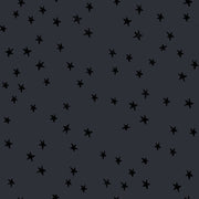 Starry by Alexia Marcelle Abegg - Starry RS 4109 91 - Charcoal - Half Yard - Modern Fabric Shoppe