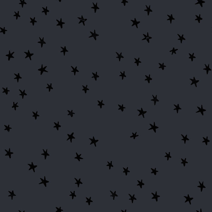 Starry by Alexia Marcelle Abegg - Starry RS 4109 91 - Charcoal - Half Yard - Modern Fabric Shoppe